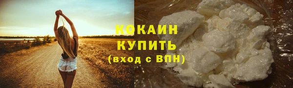 крисы Богородицк