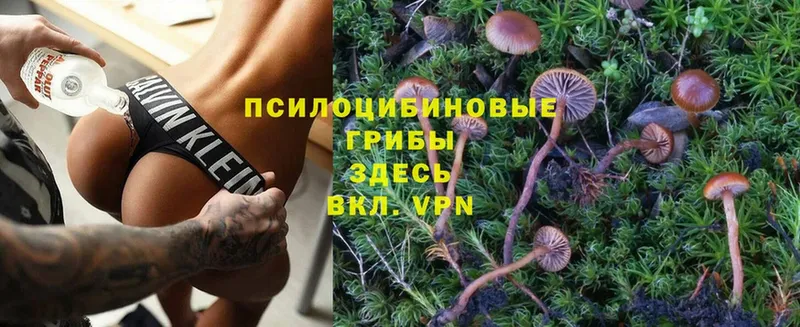 даркнет официальный сайт  Белокуриха  Галлюциногенные грибы MAGIC MUSHROOMS 